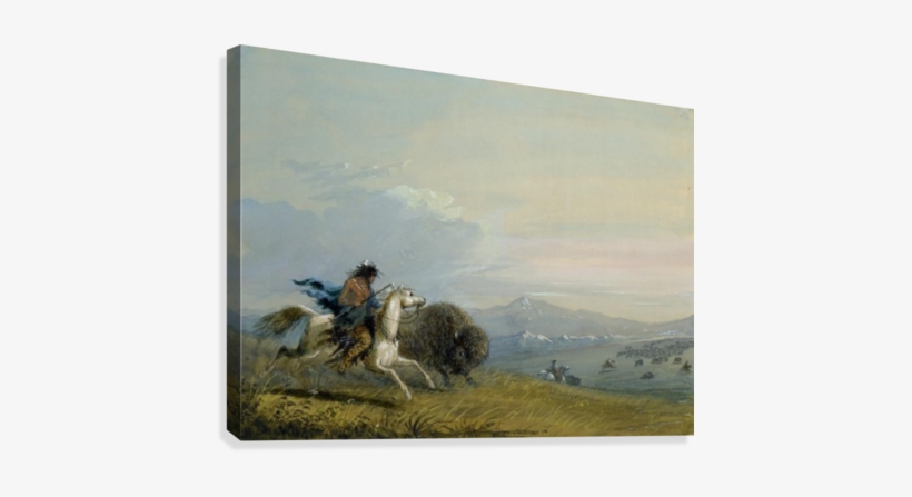 Pawnee Running Buffalo Canvas Print - Printing, transparent png download