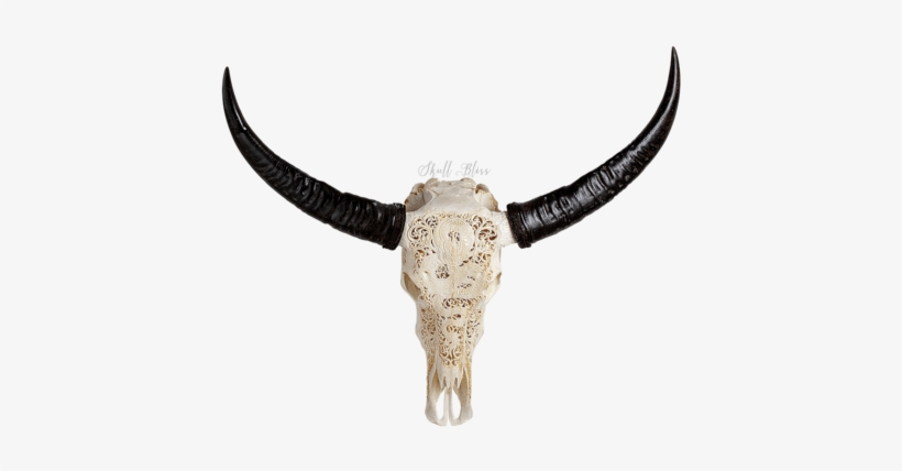Carved Buffalo Skull - African Buffalo, transparent png download