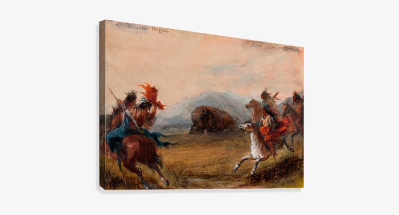 Wounded Buffalo Canvas Print - Art, transparent png download
