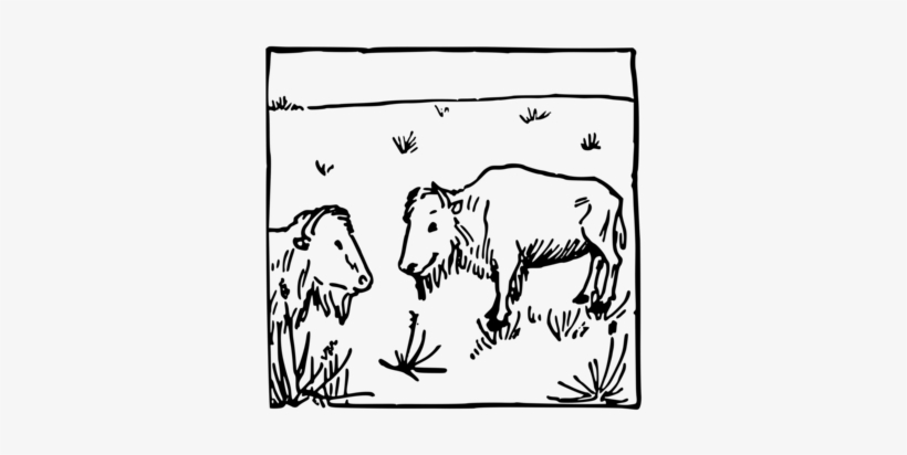 Bear American Bison Mammal Wildlife African Elephant - Clip Art, transparent png download