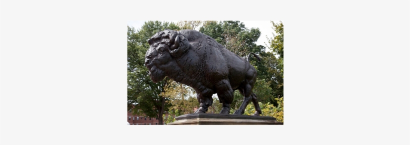 Dumbarton Bridge Is Colloquially Known As “buffalo - Proctor, transparent png download