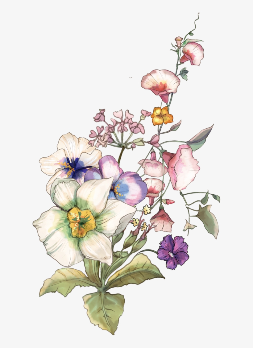 Pin By Yangming On 水彩花卉 - Vase, transparent png download