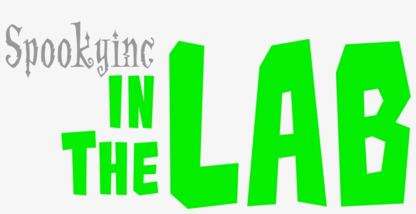 To Stay Up To Date On Our Videos, Please Subscribe, transparent png download
