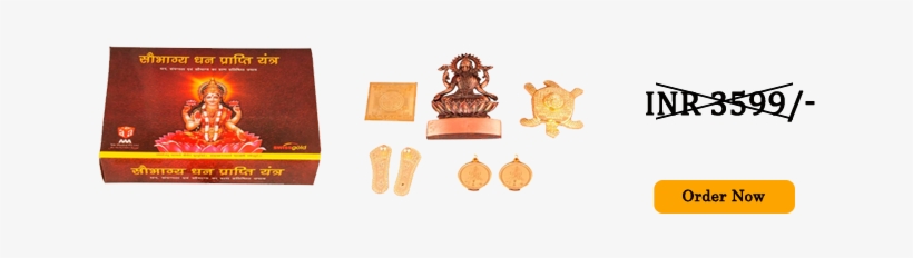 Buy Now Inr 1499/- - Frog, transparent png download