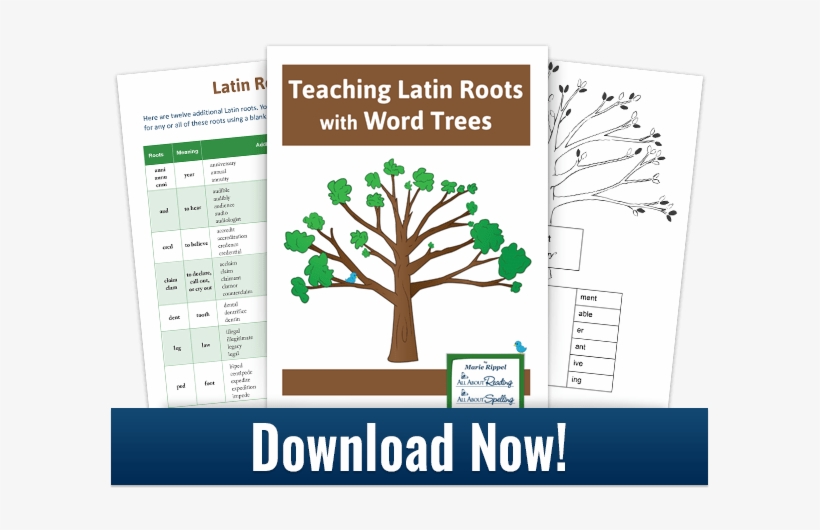 Download For Teaching Latin Roots With Word Trees - Free Printable Alphabet Bracelets, transparent png download