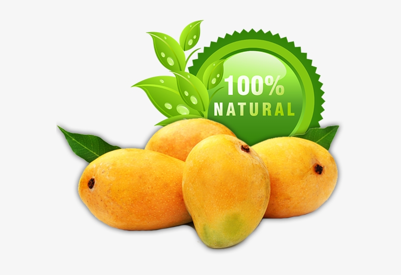 Buy Best Alphonso Mangoes Online - Ratnagiri Alphonso Mangoes, transparent png download