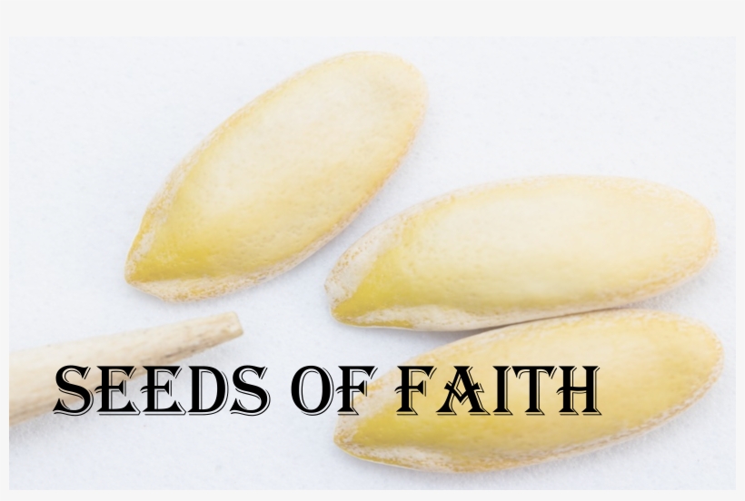 Image Goes Here - Crystal, transparent png download