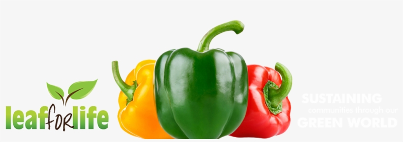 Leaf For Life - Green And Red Bell Pepper Png, transparent png download