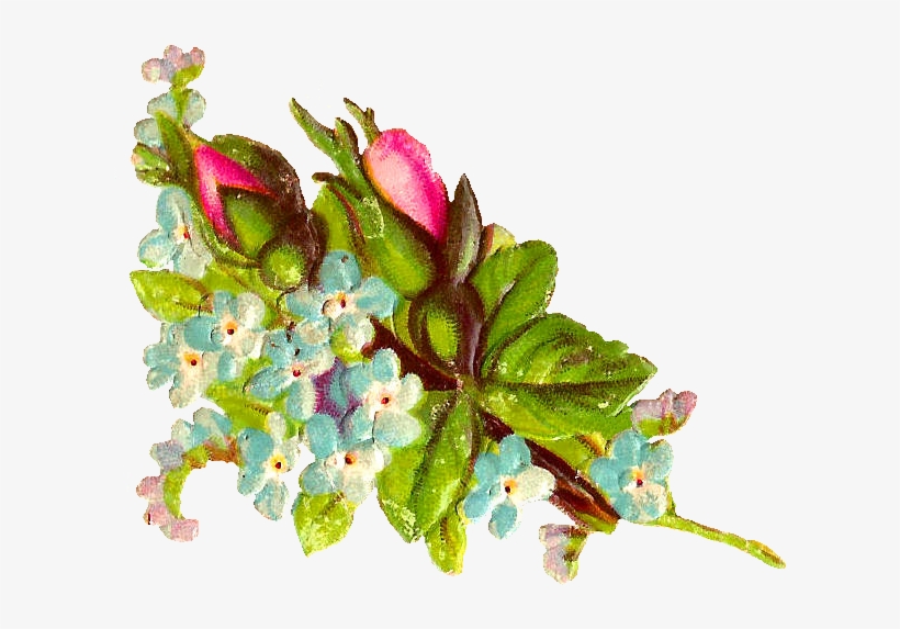 Pink Rose Digital Botanical Flower Images Flower Bouquet - Hoary Stock, transparent png download