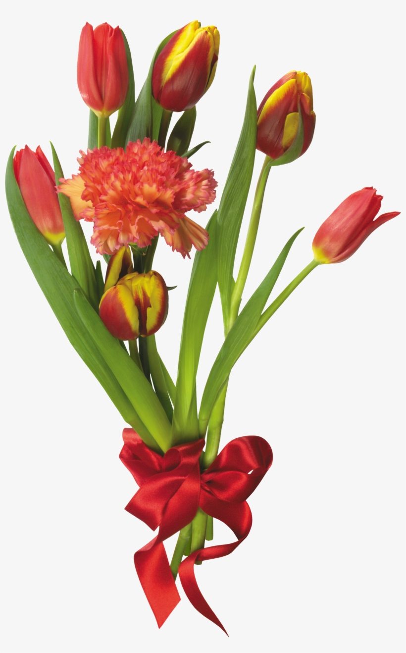 Go To Image - Цветы На 9 Мая, transparent png download