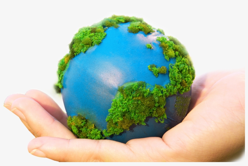 Jpg Royalty Free Library Sustainable Food Packaging - World Sustainability, transparent png download