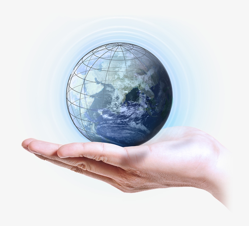 High Level Of Technical Expertise, Individualised Approach - Global Warming Negatively Effects Wildlife, transparent png download