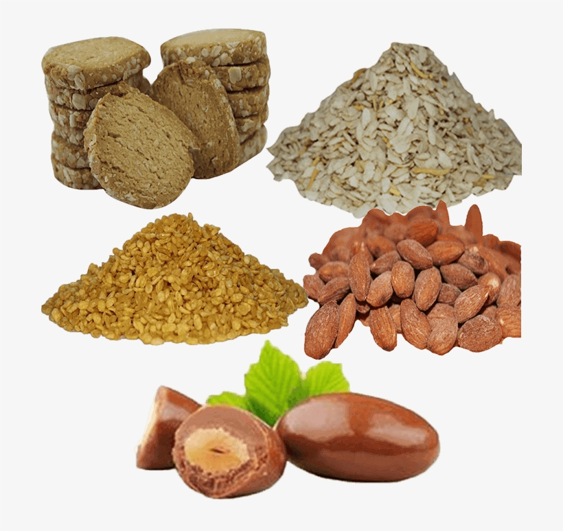 Sold Times - Acorn, transparent png download