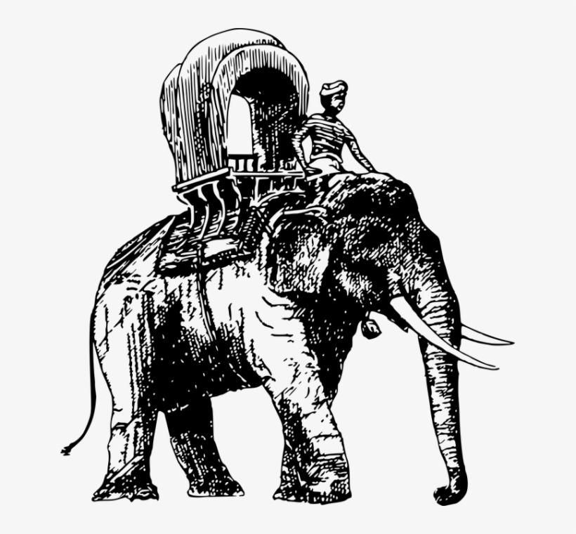 Elephants Are One Of The Few Non Human Animals To Suffer - Elephant, transparent png download