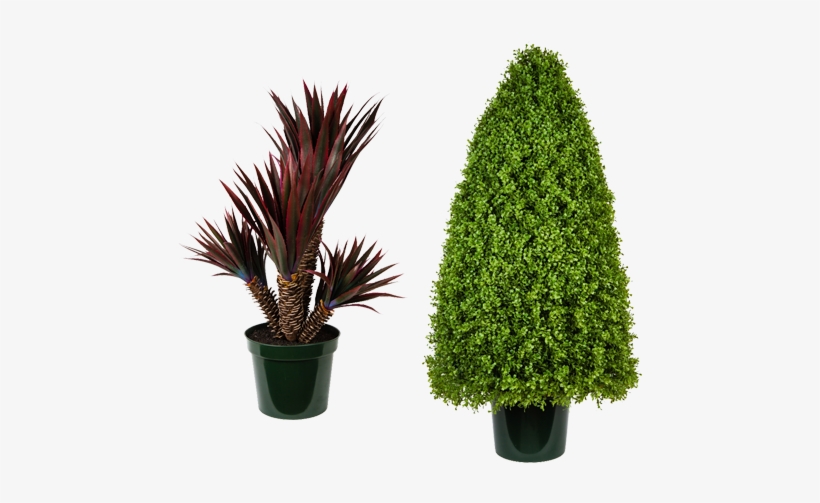 Please Click On The Image Below To View Or Download - Artificial Landscaping Trees, transparent png download