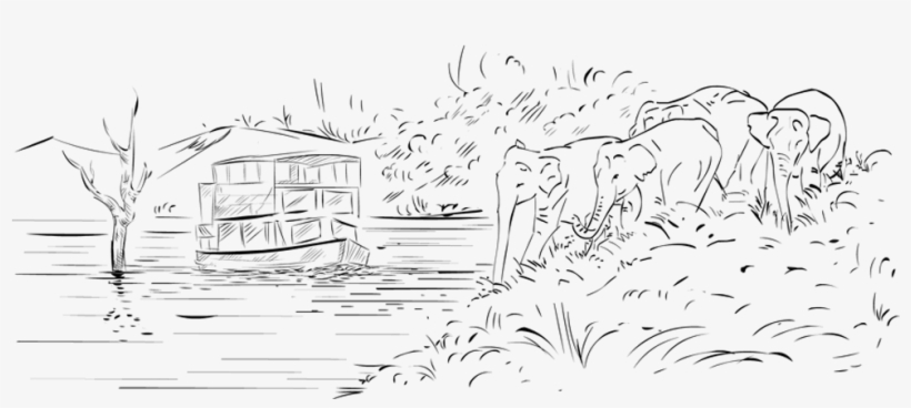 Drawing - Thekkady Drawings, transparent png download