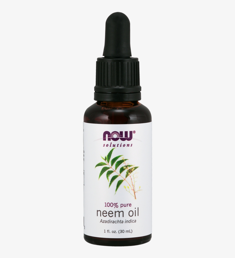 Neem Oil - Now 100% Pure Neem Oil 1 Oz, transparent png download