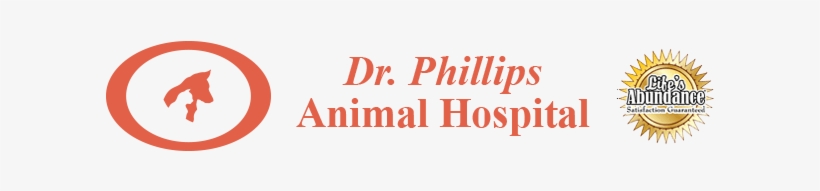 Phillips Animal Hospital - Dr. Phillips Animal Hospital, transparent png download