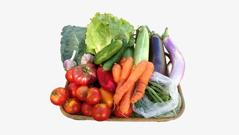 ~with Gratitude And Dirt Under Our Nails, Diane And - Gourd, transparent png download