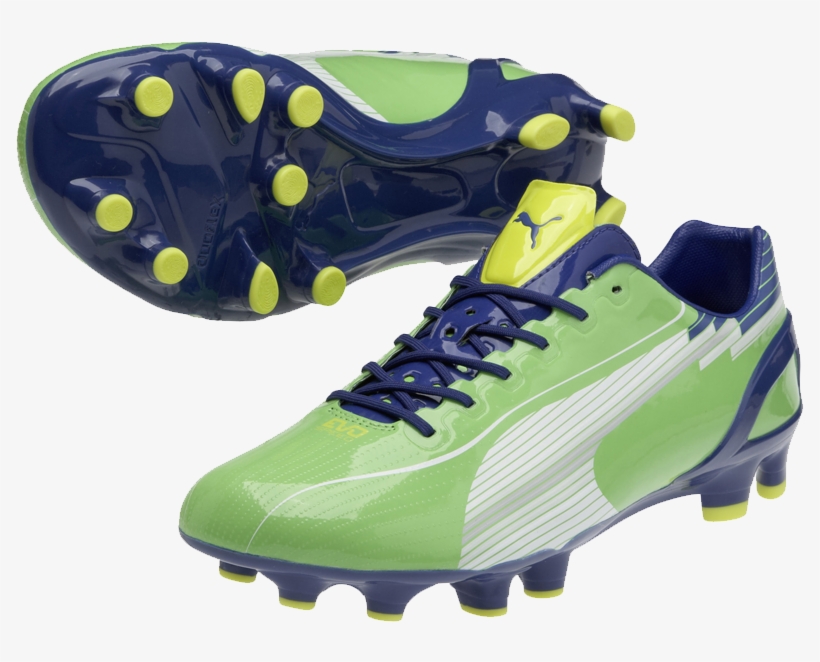 puma evospeed 1 fg