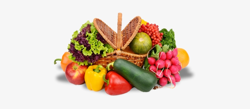 Lyme Farmers Market, Inc - Stock Photography, transparent png download