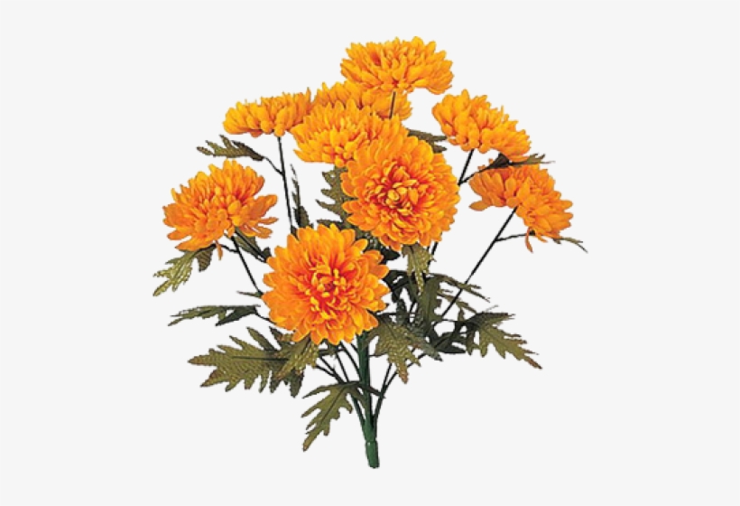 Mari Gold Clipart, transparent png download