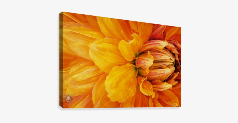 From My Garden With Love 04 Canvas Print - Canvas, transparent png download