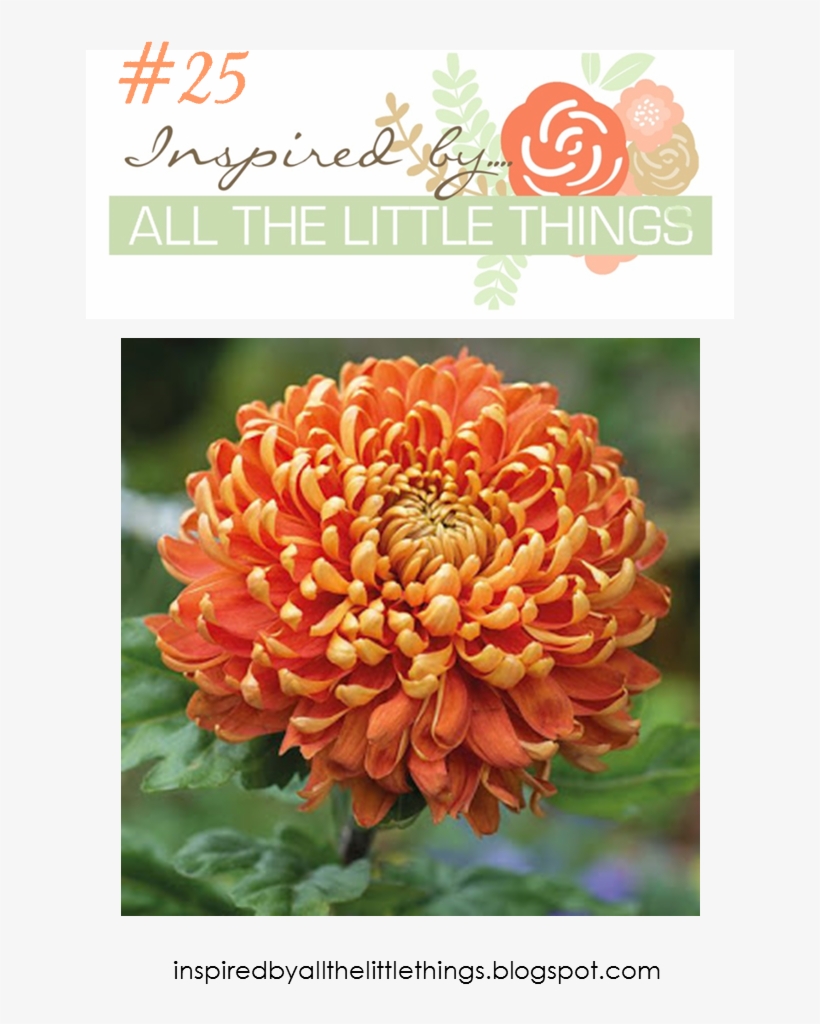 For The First One, I Layered Up My Flower, Starting - Chrysanthemum, transparent png download
