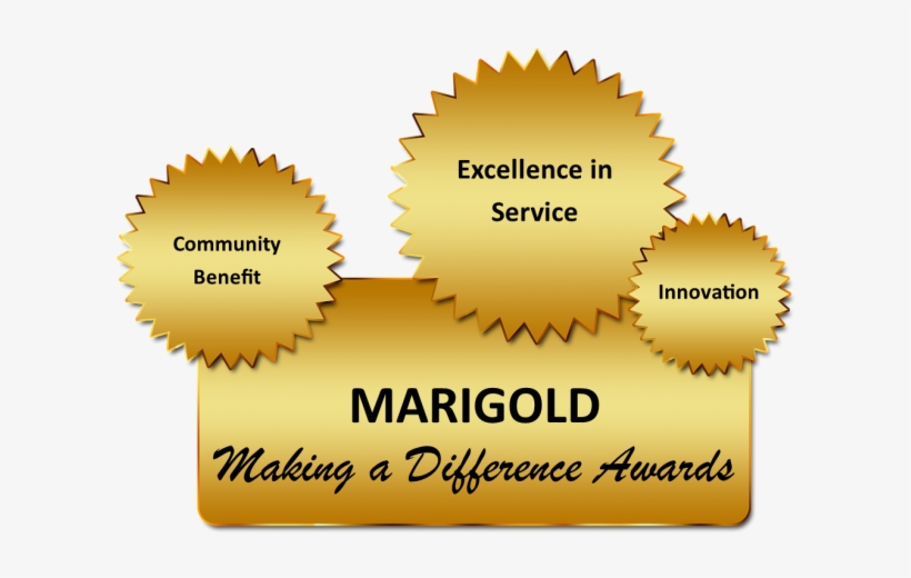 Marigold Library System's Making A Difference Award - Ecommerce Discounts, transparent png download