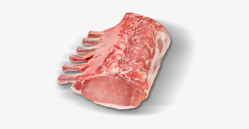 Bone-in Pork Loin - Pork Loin Bone Transparent PNG - 470x390 - Free