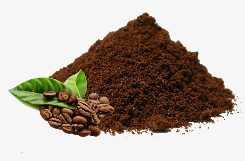 Coffee Doesn't Exist In The Shape That We Are Used - Arabica Coffee Seed Oil 100 Pure Natural., transparent png download