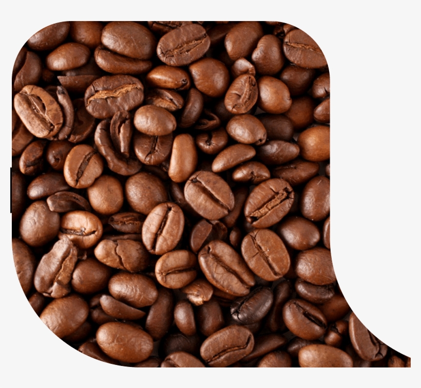 The Surface Of The Coffee Bean Is Dry, Without Oil - Coffee, transparent png download