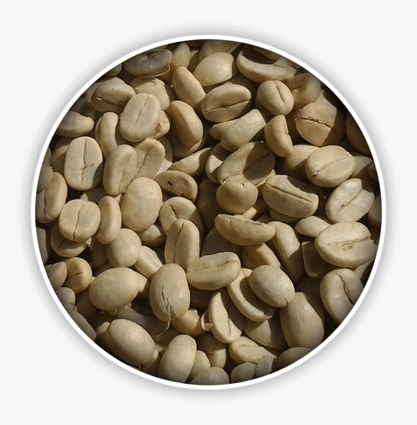 Serve Your Customers The Freshest Coffee - Seed, transparent png download