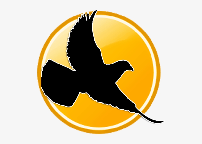 Winning Tips For Racing Pigeons, transparent png download