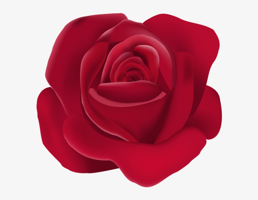 Rose Png, transparent png download