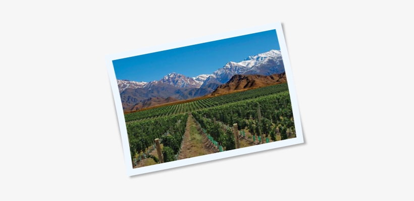 Vineyards And Waterfalls - Mendoza, transparent png download