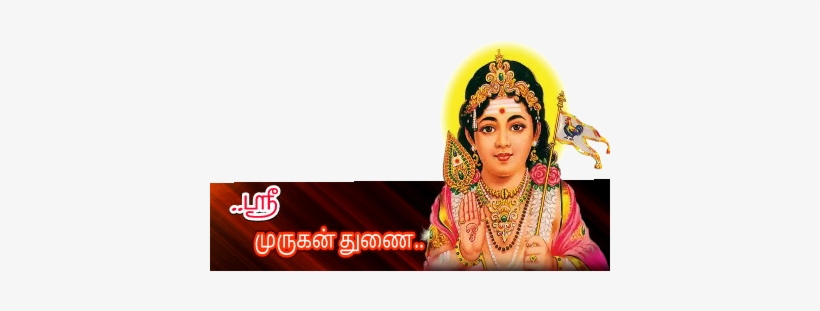 Preview Overlay - Photograph, transparent png download