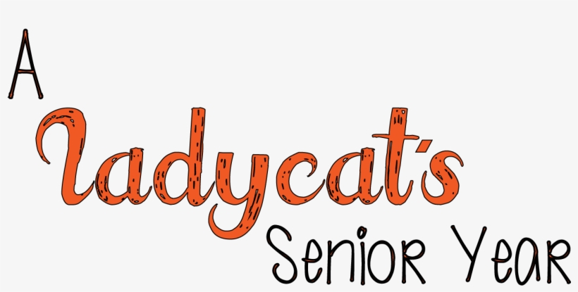 Portable Network Graphics, transparent png download