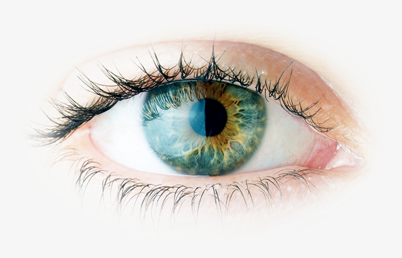 Those Floating Specks In Your Vision Could Be A Red - Il Potere Della Visualizzazione. Come Attirare A Te, transparent png download