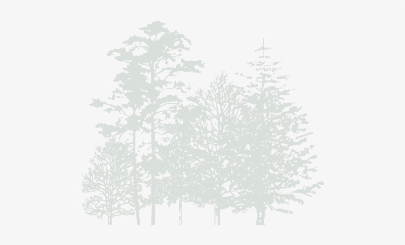 Green-trees - Omaha Home For Boys, transparent png download