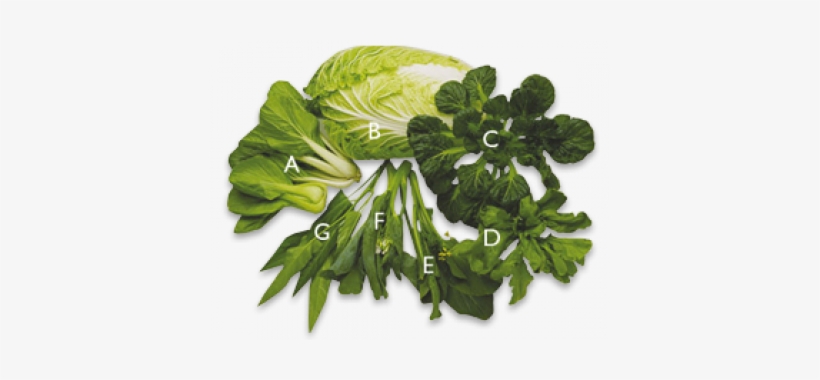 Asian Greens - Vegetables Asian, transparent png download