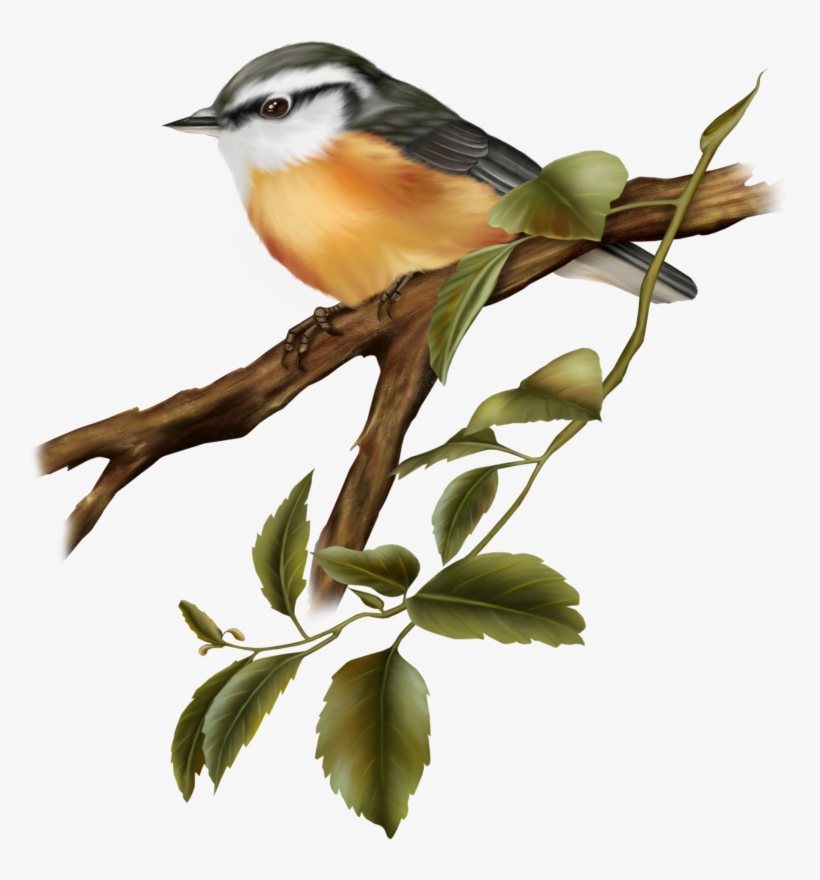 Pin Wedding Clipart Png Format - Oil Painting Birds With A Branch Decorative Hanging, transparent png download