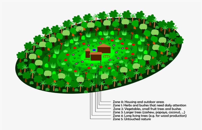 The Permanent Workers Should Of Course Have Some Kind - Circle, transparent png download