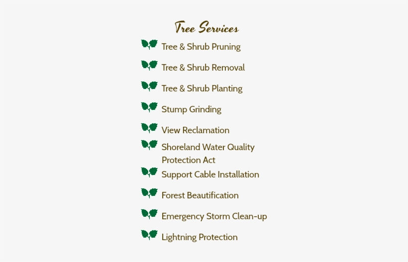 Tree Services A Tree & Shrub Pruning A Tree & Shrub - Tree, transparent png download