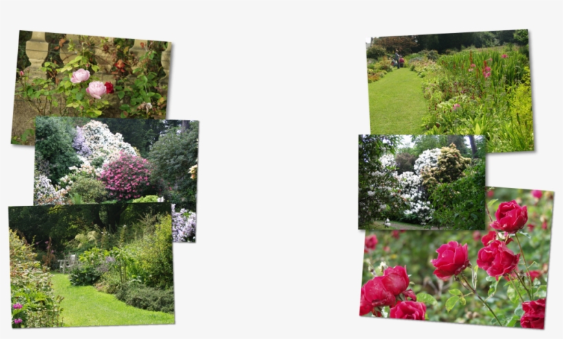 The Head Gardeners Note Book - Howick Hall Gardens, transparent png download