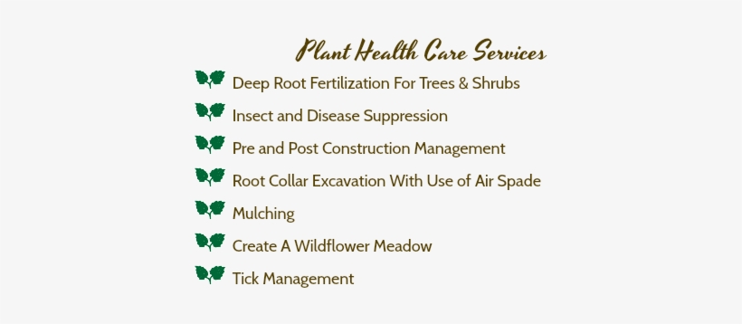 Plant Health Care Services A Deep Root Fertilization - Tree, transparent png download