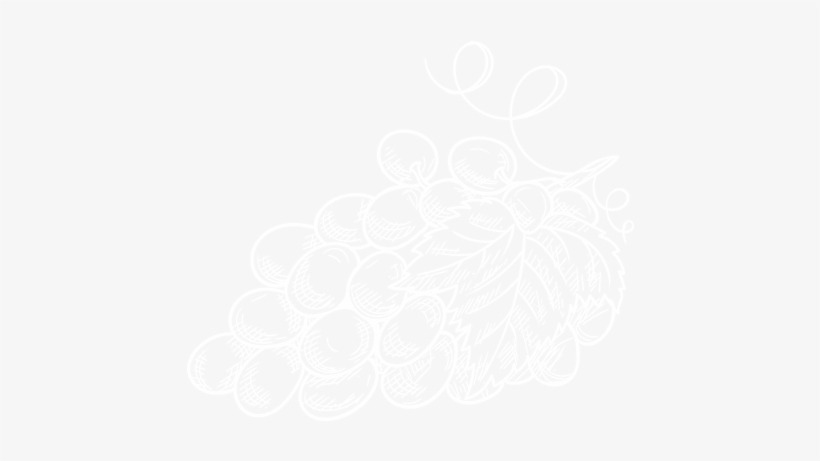 Null - Berry, transparent png download