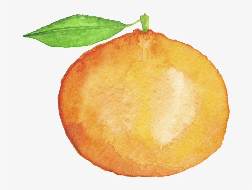 Hand Painted Orange Cartoon Transparent Fruit Png - 手繪 橘子, transparent png download