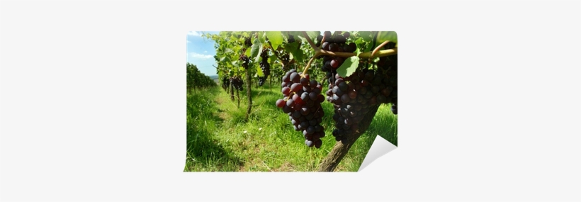 Nufarm Australia Ltd, transparent png download
