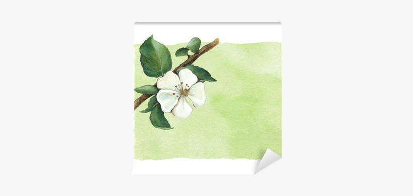Background With Watercolor Apple Flowers Wall Mural - Für Immer Dein Lachen By Hart Kaui Hemmings 9783453358362, transparent png download